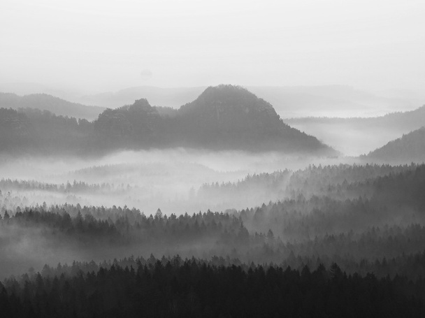 Kijk naar diep mistige dal in Duitse nationaal park. bomen verborgen in mistige gulch. zwart-wit foto - Foto, afbeelding