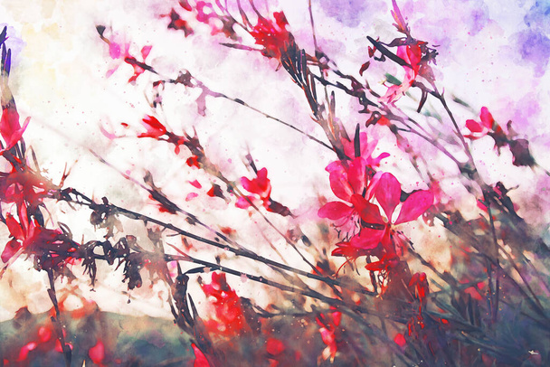 abstract watercolor style illustration of pink and red field flowers - 写真・画像