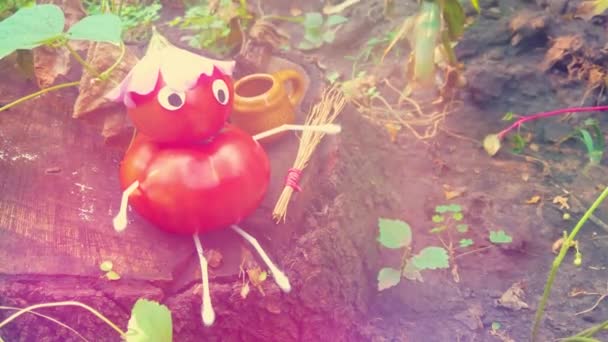 Lustige Figur aus Tomaten im Garten. Ein Beispiel für dekorative Arbeit mit Gemüse. Herbsternte. - Filmmaterial, Video