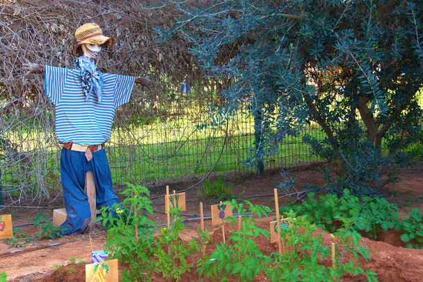 Scarecrow - Foto, afbeelding