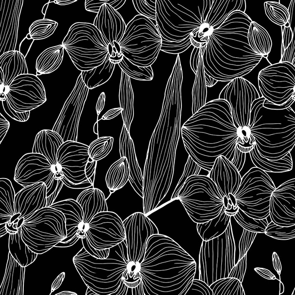 patrón sin costuras, orquídeas en blanco y negro, ornamento de papel pintado, papel de envolver, fondo para diferentes diseños - Vector, Imagen