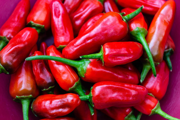 red Hungary Paprika sweet or spicy - Photo, Image