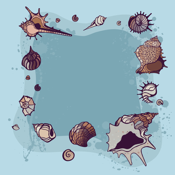 Marco de verano de conchas marinas
. - Vector, Imagen