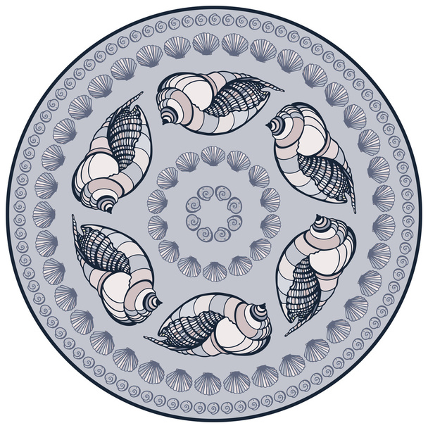 Mandala made of Seashells. - Vektor, kép