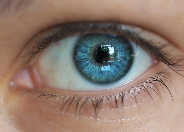 mooi helder blauw menselijk oog van een vrouw met wimpers en reflectie in de pupil, macrophotografie van het oog, horizontaal beeld met zachte focus - Foto, afbeelding