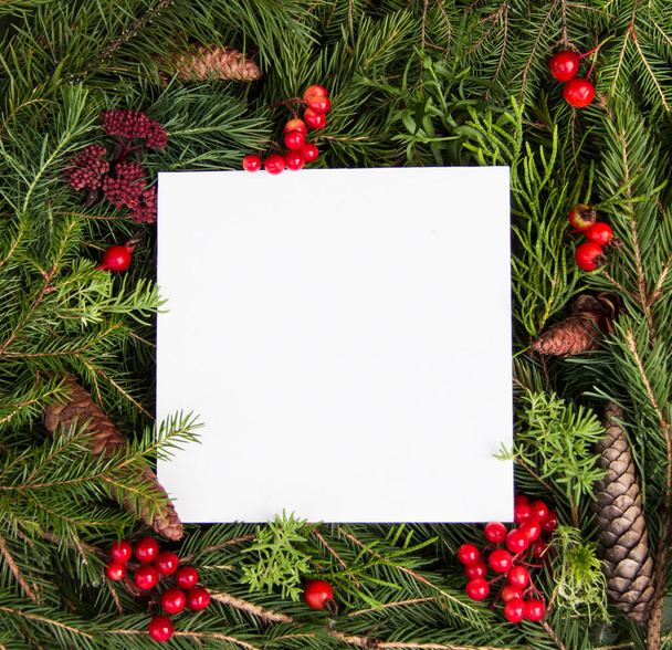 Concept Of New Year 2021, Christmas. green spruce branches and red berries with pine cones, white frame for text - Фото, зображення