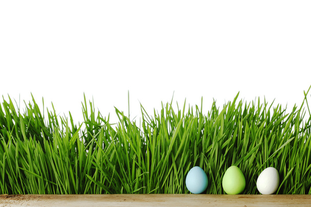 Easter eggs - Foto, Imagem