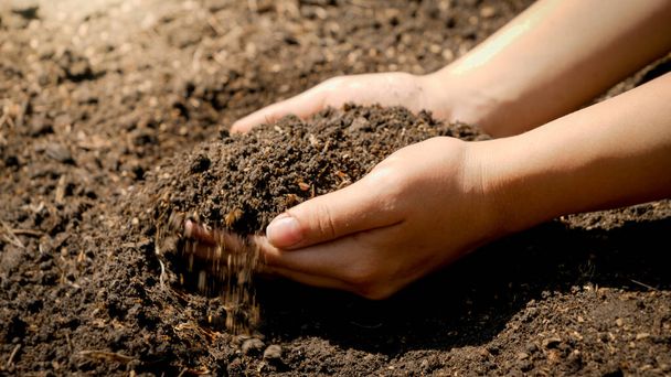 Junge Frauen mit schmutzigen Händen, die fruchtbaren Boden im Hinterhofgarten halten. Konzept für Wachstum, Umweltschutz und ökologische Bepflanzung auf Bauernhöfen. - Foto, Bild