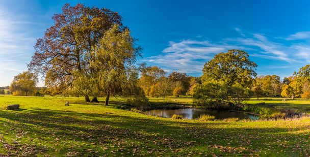 A panorama view across the Parsons Pond near Bury St Edmunds, Suffolk - Foto, imagen
