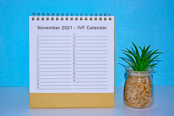 november 2021 IVF naptár és időpont kék háttérrel és cserepes növény - Fotó, kép
