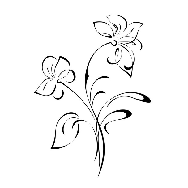 stylized twig with two flowers, a leaf and curls in black lines on a white background - Вектор,изображение