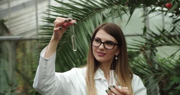 Female scientist biologist researcher testing seedling plant test tube lab. Biological agriculture research genetic engineering laboratory, seeds food farming GMO geneticaly modified food. 4 K slow-mo - Footage, Video