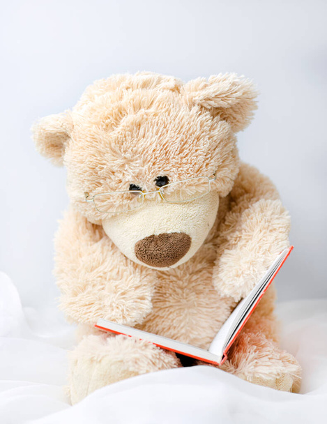 Un ours en peluche beige mignon pour les enfants de jouer avec des lunettes lit un livre - Photo, image