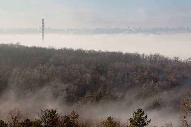 Ομίχλη με κορυφαία θέα των δέντρων και των εγκαταστάσεων εξάτμισης σωλήνα - Φωτογραφία, εικόνα