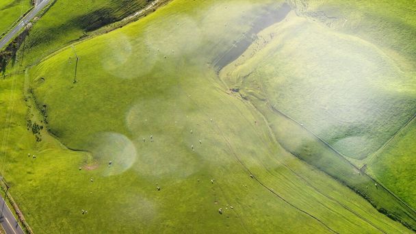 Вид с воздуха на красочную Новозеландскую страну в весенний сезон. - Фото, изображение