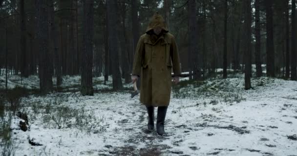 tueur en série en sweat à capuche brun marchant avec hache en forêt en hiver - Séquence, vidéo