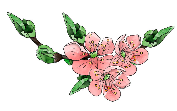Flor rosa de los árboles de primavera elemento para la decoración, folletos, tela, recuerdos, diseño, impresión, envoltura. - Foto, Imagen