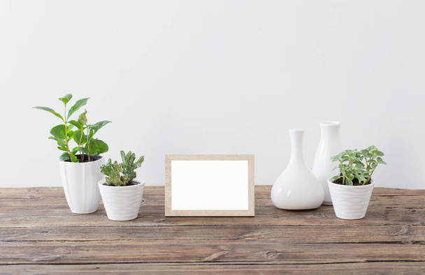 green plants with wooden frames on old wooden shelf - Foto, Imagen