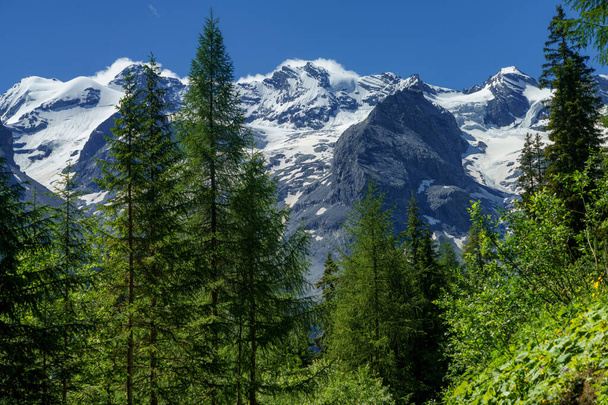 Mountain landscape along the road to Stelvio pass, Bolzano province, Trentino-Alto Adige, Italy, at summer - Foto, afbeelding