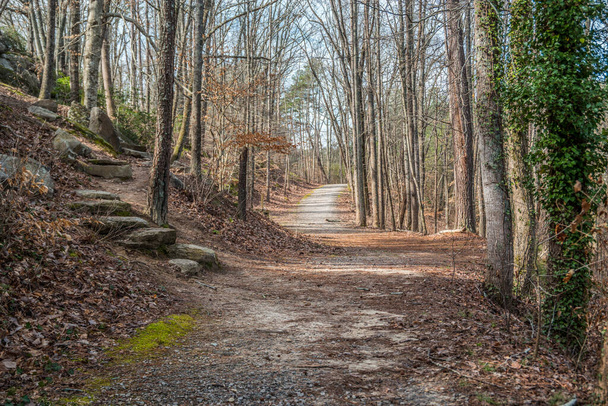 Una opción de senderismo cuesta arriba en los acantilados que suben sobre rocas y cantos rodados o ir directamente hacia el bosque en un sendero llano en el parque de acantilados Cherokee en Georgia en un día soleado a finales de invierno - Foto, Imagen