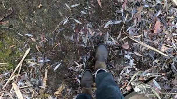 een meisje in grijze broek en bruine laarzen loopt op het gras in het herfstbos, het uitzicht vanaf de top in hen - Video