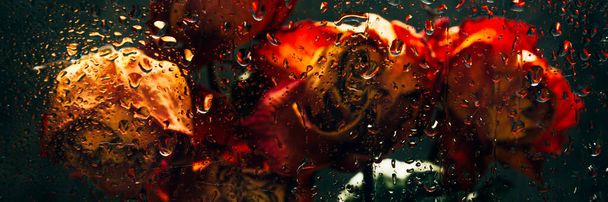 Bouquet de belles fleurs fanées à travers le verre avec des gouttes de pluie - Photo, image