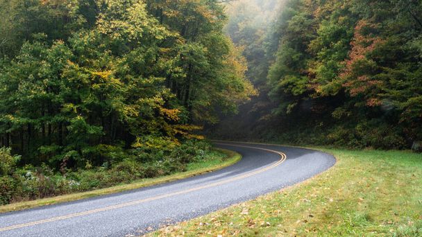 Roadway Meandering Through a Foggy Appalachian Morning Along the Blue Ridge Parkway - Фото, изображение