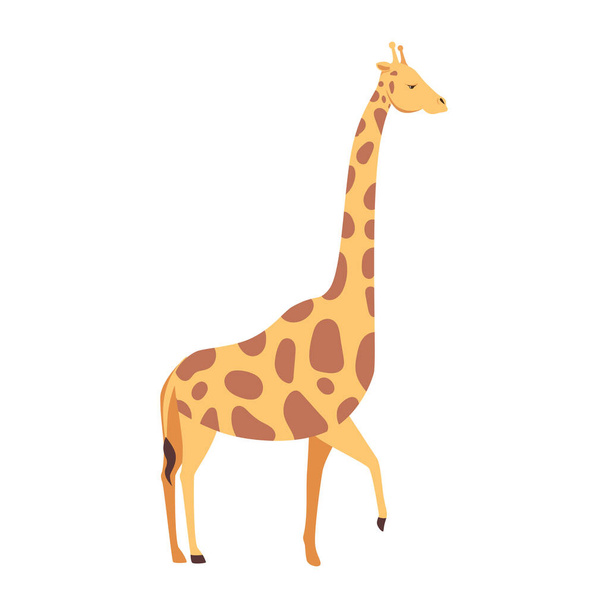 Zürafa Afrikalı vahşi hayvan karakteri - Vektör, Görsel