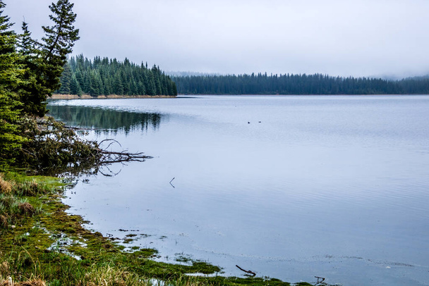 Последние дни зимы висят над озером. Swan Lake Provincial Recreation Area, Альберта, Канада - Фото, изображение