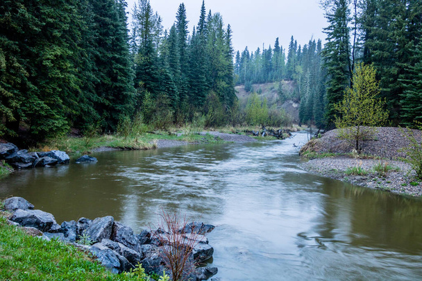 Am frühen Morgen Flusslauf Anfang des Frühlings. Tay River Provincial Recreation Area, Alberta, Kanada - Foto, Bild