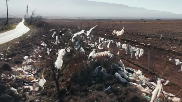 Vista aérea de la basura a lo largo de la carretera, un montón de bolsas de plástico en ramas de arbusto muerto 4K - Imágenes, Vídeo