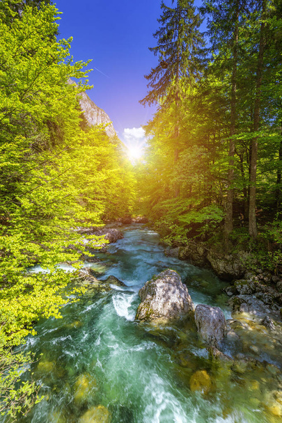 Kalter Gebirgsstrom, der vom Savica-Wasserfall kommt, dem Fluss Sava in der Nähe des Bohinjer Sees, Slowenische Alpen, Slowenien. Die Sava Bohinjka ist ein Quellgebiet der Save im Nordwesten Sloweniens.. - Foto, Bild