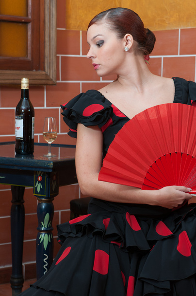 Traditional flamenco dresses dance during the Feria de Abril on April Spain - Foto, imagen