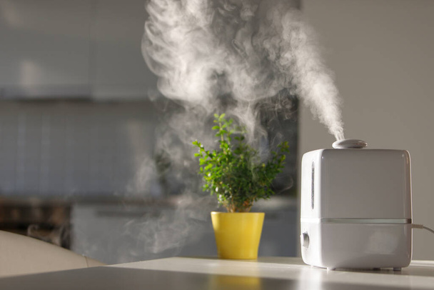 Close up of aroma oil diffuser on the table at home, steam from the air humidifier, houseplant on background. Ultrasonic technology, increase in air humidity indoors, comfortable living conditions.  - Photo, Image