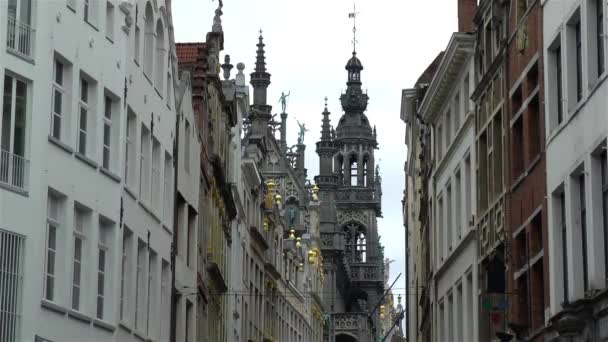tour du musée de la ville de Bruxelles, maison du roi, vue de rue au beurre. - Séquence, vidéo