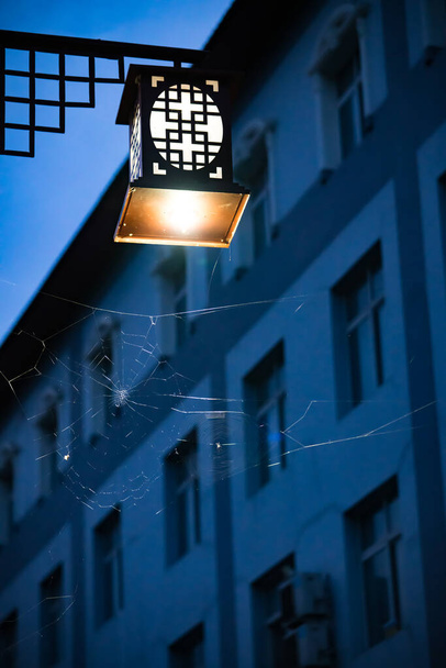 Under the late night light, there was a huge spider's web  - Photo, Image