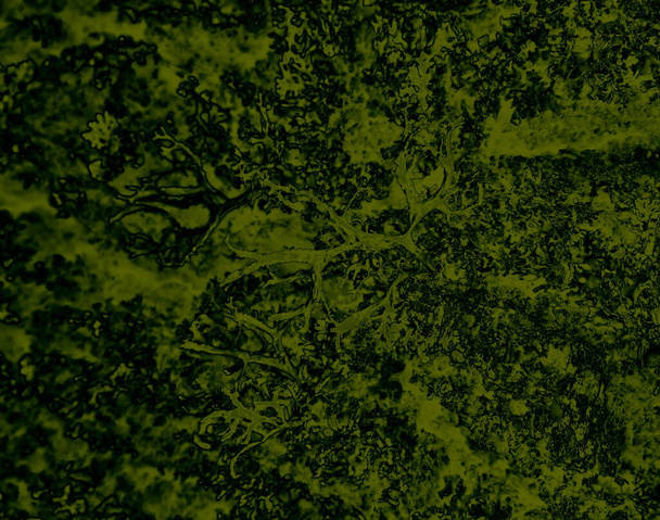 Зеленый фон с яркими темными и светлыми акцентами. Сюрреалистические настенные каноны в стиле современного искусства. - Фото, изображение