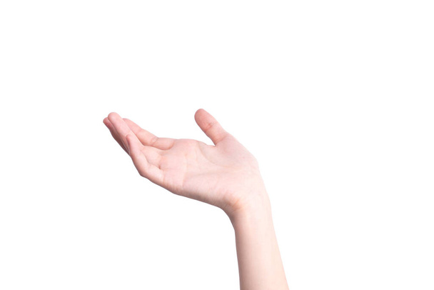 Una mano sosteniendo algo en un fondo blanco  - Foto, Imagen