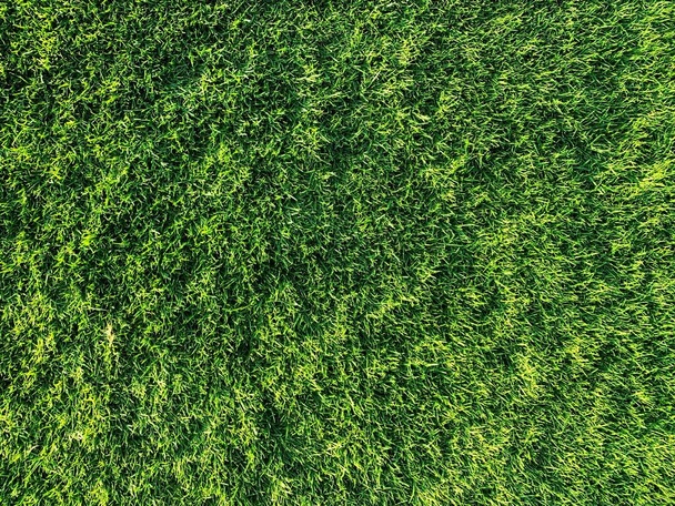 緑の芝生サッカー場の背景、スポーツ夏の背景 - 写真・画像