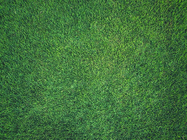 緑の芝生サッカー場の背景、スポーツ夏の背景 - 写真・画像