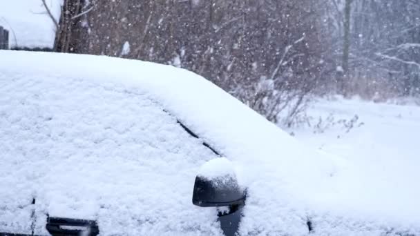Ośnieżony czarny samochód pod śniegiem na tle drzew - Materiał filmowy, wideo