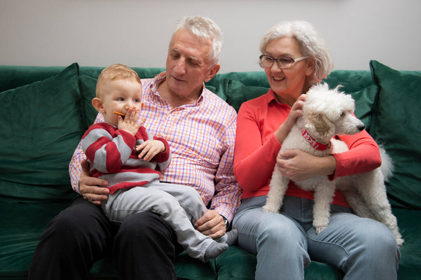 Großeltern mit ihrem kleinen Enkel und treuem Pudelhund sitzen zusammen im Wohnzimmer  - Foto, Bild