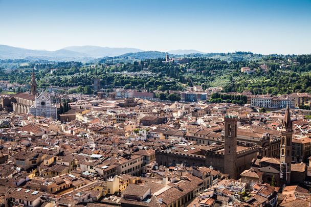 Florence panoramic view - Foto, afbeelding