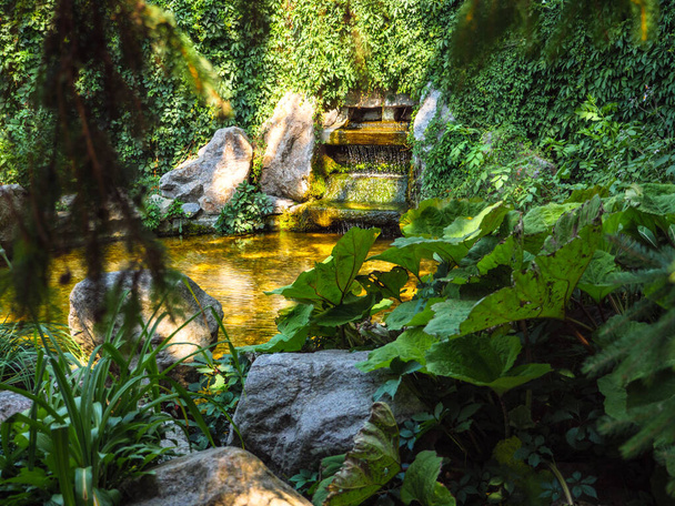 Veja através da folhagem sobre a fonte da cachoeira em meio a vegetação rastejante com água fluindo em lagoa redonda. Atmosfera acolhedora íntima em Alexandria Park, Bila Tserkva. - Foto, Imagem