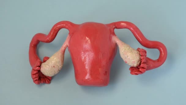 Pilules et capsules pharmaceutiques tombant d'en haut sur la forme anatomique de l'utérus avec ovaires, symbolisant le traitement de l'utérus ou des ovaires contre les maladies, l'impact des médicaments sur la fonction reproductive - Séquence, vidéo
