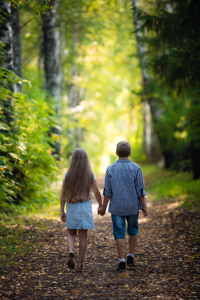 Güzel kız ve erkek güzel yaz ormanlarında yürüyor. - Fotoğraf, Görsel