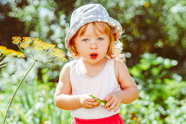 Маленька дівчинка їсть смородину в літньому саду
 - Фото, зображення