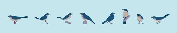 Bir dizi kuş bülbülü çizgi film ikonu tasarım şablonu ve çeşitli modeller. modern vektör illüstrasyonu mavi arkaplanda izole edildi - Vektör, Görsel