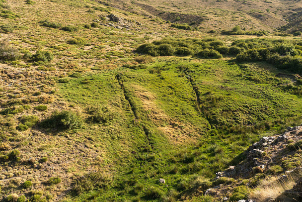 горный ландшафт Сьерра-Невады на юге Испании, есть кусты и трава, есть камни - Фото, изображение