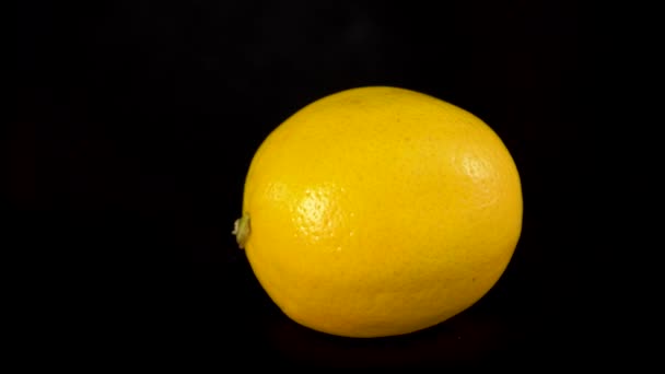 Φρέσκο ζουμερό κίτρινο λεμόνι περιστρέφεται απομονωμένο σε μαύρο φόντο. Μεγάλο ακατέργαστο λεμόνι - Πλάνα, βίντεο